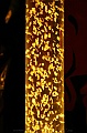 IMG_7528