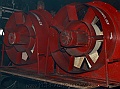 IMG_7503
