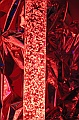 IMG_1825