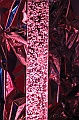 IMG_1836