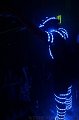 IMG_8343